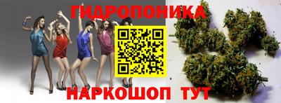 МДПВ Волгодонск