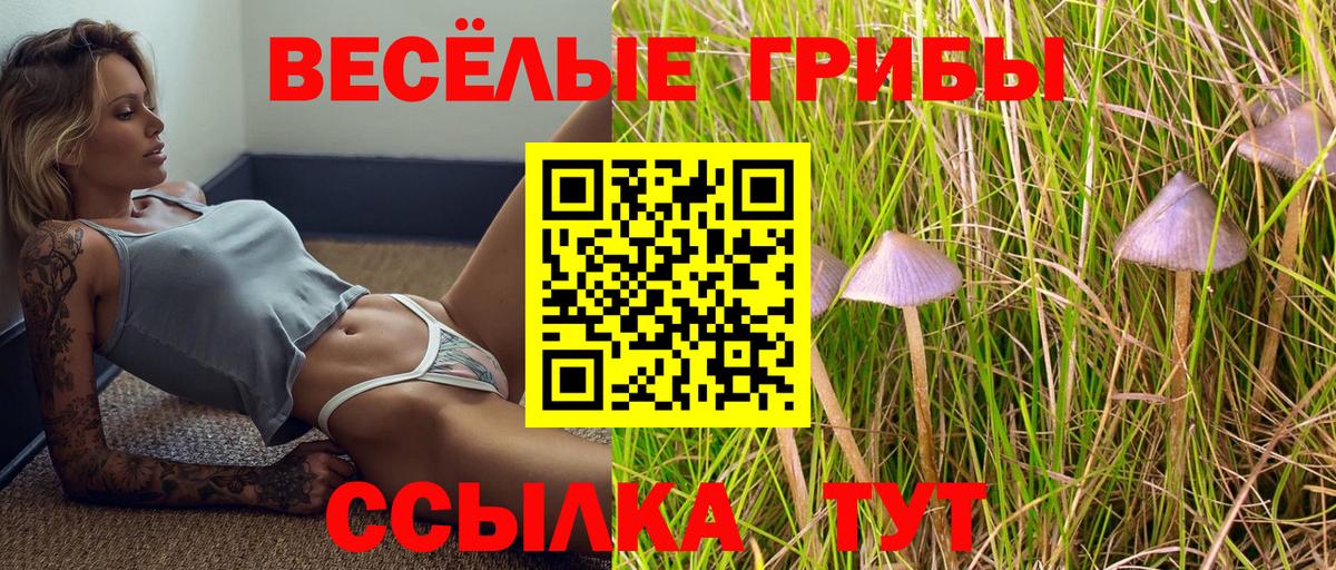 Галлюциногенные грибы Psilocybine cubensis Бахчисарай