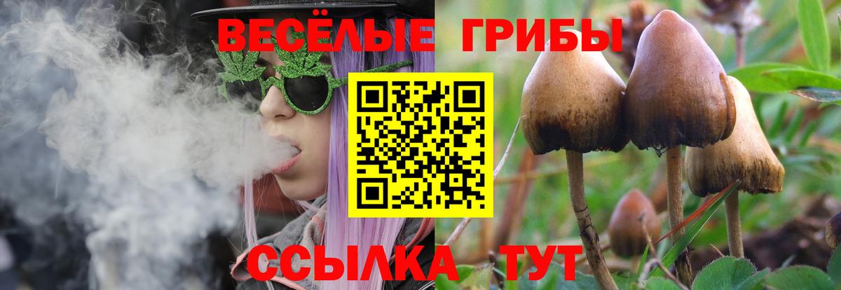 Галлюциногенные грибы мухоморы  Вход с VPN  Бахчисарай 