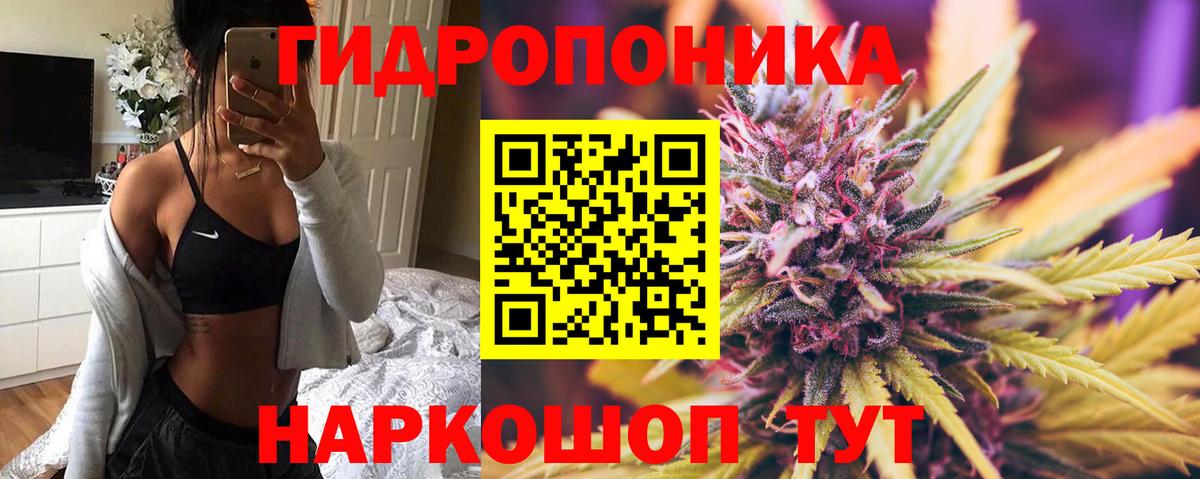 Бошки марихуана тримм  Конопля VHQ  Бахчисарай  Бошки Шишки Bruce Banner  Вход с VPN 